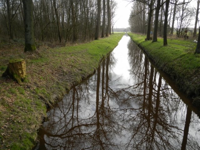 NWK 2012 028.jpg